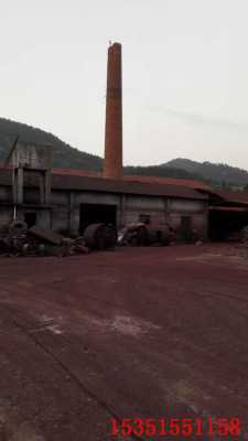 尿素塔內外壁防腐堵漏永康施工
